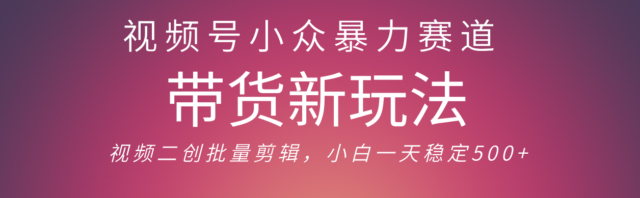 視頻號小眾暴力賽道，最新帶貨玩法 小白也能輕松日入500+ 保姆及教程