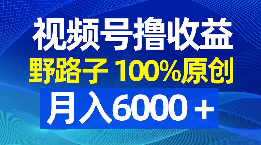 視頻號(hào)野路子擼收益，100%原創(chuàng)，條條爆款，月入6000＋