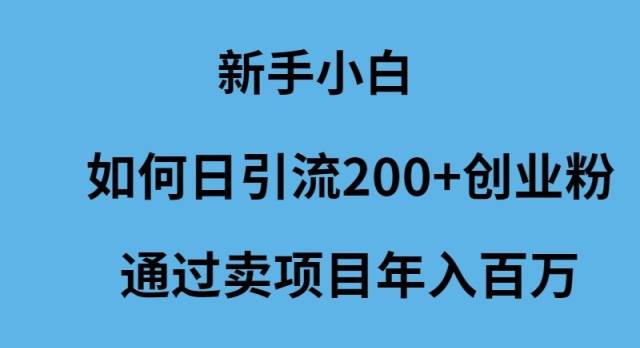 新手小白如何日引流200+創業粉通過賣項目年入百萬插圖 新手小白如何日引流200+創業粉通過賣項目年入百萬插圖