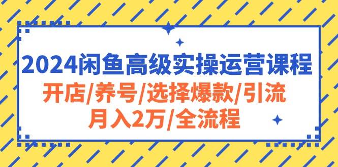 2024閑魚高級實操運營課程：開店/養號/選擇爆款/引流/月入2萬/全流程