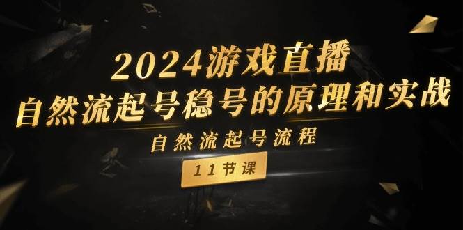 2024游戲直播-自然流起號(hào)穩(wěn)號(hào)的原理和實(shí)戰(zhàn)，自然流起號(hào)流程（11節(jié)）插圖