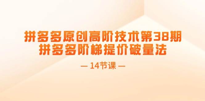 拼多多原創高階技術第38期,拼多多階梯提價破量法(14節課)插圖 拼多多原創高階技術第38期,拼多多階梯提價破量法(14節課)插圖