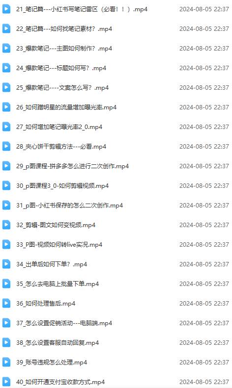 2024小紅書電商實戰課：全體系打造 全方位梳理 小紅書電商邏輯體系 (42節)插圖2